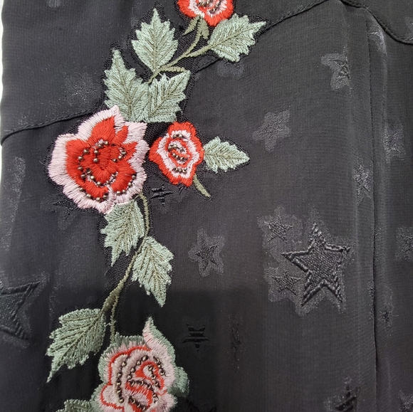 Super cute Topshop dress.  Black,  sheer  with rose embroidered embellishments. - Picture 4 of 10